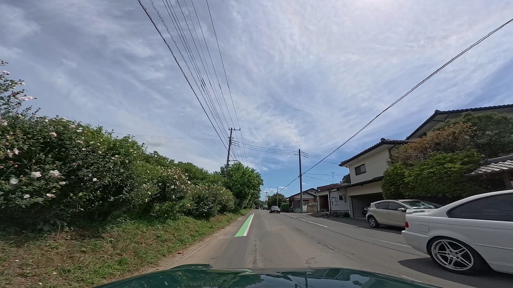 日高市 カワセミ街道